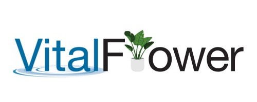 Logo_VitalFlower (500 x 200 px)